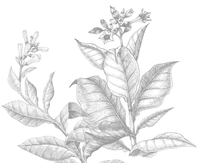 blending fragrance and flavour